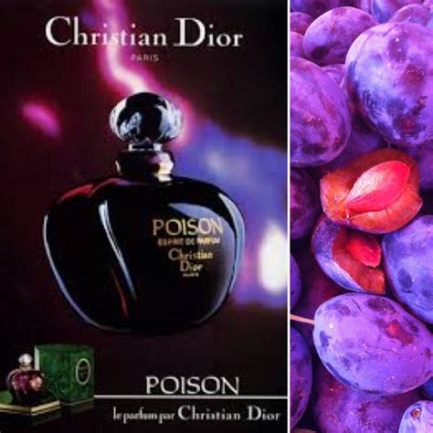 dior oison|Dior poison collection.